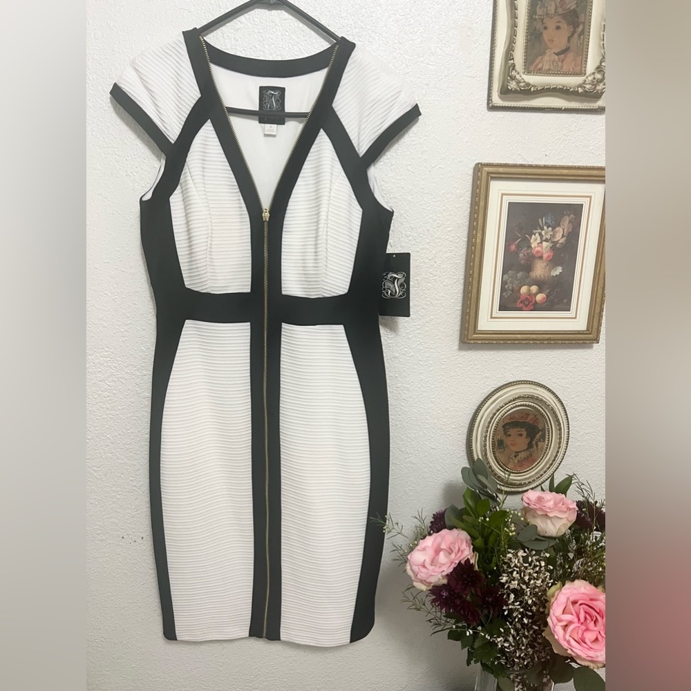 Classic Fitted Dress, Size 8 🖤🤍